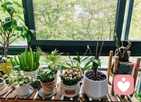 ♥️休息日就去爬山、去徒步、去户外接近大自然吧……因为人和山在一起就是仙，人和木在一起才是休～周末愉快呀。♥️