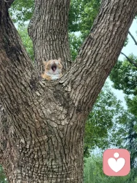 新的一周开始了哦，睡醒了嘛？早安哦。♥️