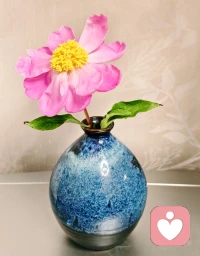 ❤️今日谷雨，春天要结束了哦，夏天要来啦！