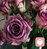 ❤️心理咨询的重要性
 ❤️1. 情绪有出口，避免内耗积压
长期压抑焦虑、抑郁、愤怒等情绪，会引发失眠、躯体不适、人际冲突，心理咨询提供安全倾诉空间。
​
❤️2. 打破思维误区，理性面对问题
很多痛苦来自认知偏差，如过度自责、完美主义、非黑即白，咨询师帮你看见并调整。
​
❤️3. 预防心理问题加重
早期干预能避免小情绪发展为焦虑症、抑郁症等心理障碍，如同“心理体检+保健”。
​❤️4. 提升生活质量与关系质量
心理健康直接影响工作、学习、亲密关系、家庭相处，是幸福的基础。