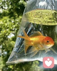 雨天有雨天的美。如果注定躲不过淋一场大雨，那不如沉浸其中好好享受它。❤️配图