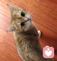 ❤️对任何关系都不要过分探究他人的内心和本意，过度分析他人的行为动机，本质上是在瓦解自己的主体性，敏感本身是天赋，但没用在对的地方就是牢笼。 ​​​晚上好。配图