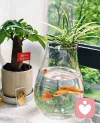 有的人说话难听肯定是故意的啊 不难听说它干嘛 又不是真没情商 ​​​不信你看他们对想巴结的领导和客户小嘴甜着呢 不必生气 远离就是了配图