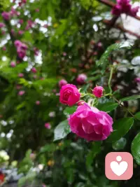 ❤️我们的精力本身有限，要抓住核心。比如想要做出一些改变，那就要抓住一些相对比较容易改变的：可以从整理周边环境、整理自身形象、整理身心状态开始入手。向内整理，就是变好的开始。配图