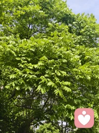 ❤️偶遇路边一辆可爱的小车车，生活就是这样，偶尔致郁，偶尔治愈。❤️配图