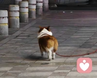❤️人是可以逃避问题的，人是可以笨拙地表达爱意的，人是可以一时想通了又突然想不通的，人是可以跌倒后就原地休息的，人是可以对过去耿耿于怀迟迟放不下的，人是可以没有宏大目标的，人是可以活得不那么正确的。没关系，人本来就可以犯错的，错了就错了，不要苛责那个已经尽力了的自己。配图