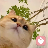 别允许任何人来消耗你
有人说你脾气不好要改改
他脾气好，他咋不忍忍呢配图