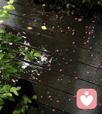 不去做怎么知道结果呢

做了要么好 要么坏 起码有一半的成功 ​​​配图