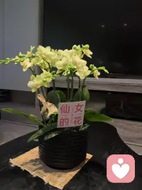 ❤️任何一个选择都有利有弊，不管做何选择，人总会失去一些东西。
既然会失去，那失去的东西就不重要了。
重要的是你得到的是你想要的，是现有选择中你觉得最适合自己的。
得到了，就是最好的。
晚上好。❤️

​