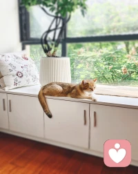 小猫内心os：才五月份嘛，咋个就这么热了嘛？吃不消吃不消。😬😬