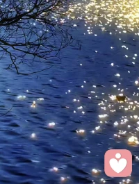 别去跟烂人烂事纠缠，当你靠近喜欢的一切，就是滋养自己，晚上好。❤️配图