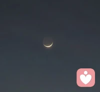 我说今晚的月色真美，你说是的，晚上好。❤️配图