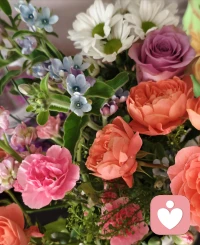 今日小满，人生小满胜万全。早安。❤️配图