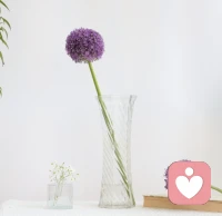 努力的意义，不是改变什么，而是你可以不被改变。早安❤️配图