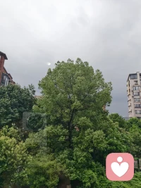 生活很累，但不能撤退，新的一周开始了，加油哦。❤️配图