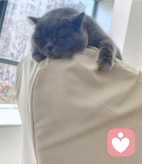 你要是找不到满眼都是你的人，那就养一只满眼都是你的猫，两只也行。😬配图