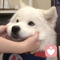 成长就是：你的目标不再是每天都过的快乐
而是能平静的和自己的情绪共处 ​❤️配图