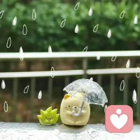 我们总以为，
礼貌是教养，是分寸
是永远不让别人不舒服。
但原来，
过度的礼貌，
常常是我们藏起来的讨好和不安。