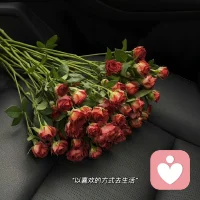❤️当你学会为生活做减法，成长便会悄然做加法。早安。配图