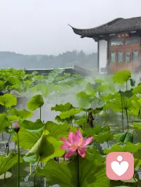 ❤️事物都是有两面性的。比如，湿乎乎黏嗒嗒的梅雨季节，但是它带来的福利就是可以看到自带仙气的西湖。❤️配图