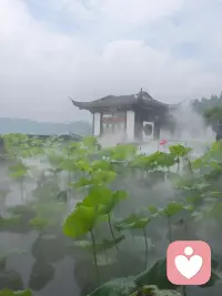 ❤️事物都是有两面性的。比如，湿乎乎黏嗒嗒的梅雨季节，但是它带来的福利就是可以看到自带仙气的西湖。❤️配图