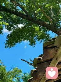 今日夏至，希望美好也能如期而至。❤️