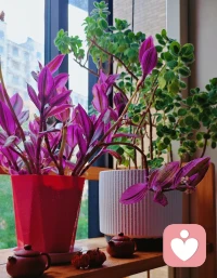 ❤️未来真正稀缺的，不只是财富，而是：稳定的心性、清醒的判断、持续创造的能力，很多时候，人生不是一直向外扩张，真正的成长，是知道什么时候进，什么时候退。配图