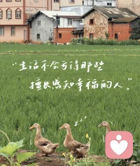 生意做大做强就唱《爱拼才会赢》，
生活不如意就唱《欢喜就好》人生海海～😂😬没啥大不了啊朋友们。😬配图