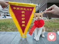 我们要学会常常把我不行换成我试试，
很多好运，是你先信了，才敢来。加油✊配图