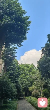 随手拍一张，留存关于夏天的记忆。周末愉快呀。❤️