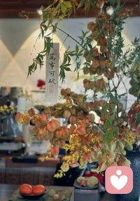 一旦你非常享受独处的时候，你就会收获自由。❤️配图