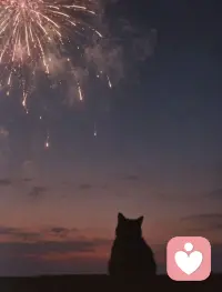 你得先是你自己，才会有生活的欢喜。❤️配图