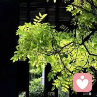 优点和缺点是一回事，你不能忍受缺点，就享受不了它的优点。今日霜降，愿君安康，天冷多加衣。❤️配图