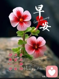 董宇輝老師說過:行肚于言，身教大于言傳，孩子是父母的影子。


昨天我們一家三口老公和我，孩子去青島，在回來的路上賭車，

老公讓了很多車，讓我的心里很欣慰，孩子長大后也會跟爸爸一樣，

這就是身教大于言傳吧配圖
