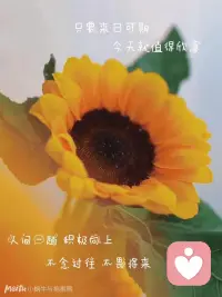 一切行為的背后，都是愛在運作，一切痛苦的情緒，都是源自不流動的愛。配圖