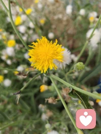 想哭是身體要求放松，調(diào)整的信號。有很多人沒有眼淚，只是把眼淚變成了疾病和腫瘤。配圖