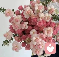 內(nèi)啡肽是我們感到愉悅，舒服的化學(xué)分子。大哭或大笑后感到暢快，都是因?yàn)槟泱w內(nèi)的內(nèi)啡肽增加了，所以當(dāng)心情不爽時(shí)，我們可以通過(guò)運(yùn)動(dòng)，鍛煉，哭，笑的方式讓自己放松。配圖