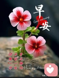 完成比完美重要，完成本身也是一種完美。配圖