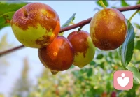 在這個世界上，

不管做什么忙什么，

其實都為了兩個字，

那就是幸福。配圖