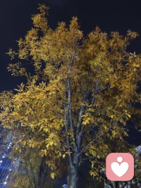 接納不能改變的，改變能夠改變的就是面對(duì)。配圖