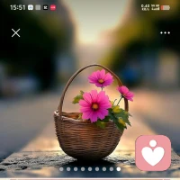 强大的不是你战胜了自己，而是接纳了自己。配图