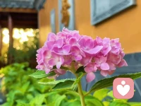 不愿面对，不愿接受，不愿放下是最大的问题，愿意″放下八，我们才能够转身走向未来。配图