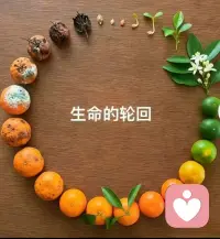 一个女人到底要强大到什么程度才能真正戒掉情绪，不在意任何人的眼光？
第一，永远不要渡无缘之人。哪怕你看透了人性，悟透了世事，拥有远超旁人的认知与清醒，也千万不要强行去唤醒身边的任何人。父母的执念，爱人的愚昧，朋友的因果，皆有定数。每个人都有属于自己的人生课题，有需要自己要渡的劫。你执意想要改变他人，本质上就是自己执念未消。心有执念才会总想渡人。
世间最大的愚蠢就是拿着自己的醒悟去救赎不想清醒的人。你只需守好自己的本心，旁人的风雨只能自渡。旁人的伤痛只能自愈，这是天意，更是宿命。配图
