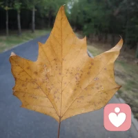 真正高级的人生，不是被动接受命运，
而是主动重塑自己～

高手每天都在刻意打破和重塑自己的认知，普通人花一生时间去坚守自己超级顽固不化的认知。