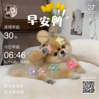 一父親在公司受到了老板的批評，回到家里就把沙發(fā)上跳來跳去的孩子臭罵了一頓。孩子心里窩火，狠狠去踹身邊打滾的貓。貓?zhí)拥浇稚险靡惠v卡車開過來，司機趕緊避讓，卻把路邊的孩子撞傷了。

這種對弱于自己或者等級低于自己的對象發(fā)泄不滿情緒，而產生的連鎖反應，就是心理學上著名的“踢貓效應”，描繪的是一種典型的壞情緒的傳染。
心情不好的時候，自己要學會調節(jié)，比如跟朋友談心、大吃一頓、睡一覺、走出走走、聽聽音樂等等，遷怒于他人，于事無補還傷害他人。配圖