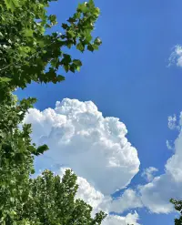 關于愛

你不完美
但你依然可以擁有我的愛
真正的愛或許是：你不完美，但你依然可以擁有我的愛。

如果這就是愛，那我會問你，你真的愛自己嗎？你有這樣的一種自愛嗎？

這種自愛就代表——我是不足的，我也是足夠的。
不夠就是，我內在有很多沒有整合的創傷；
足夠就是，我能夠去愛受傷的自己，愛脆弱的自己，愛不足的自己······

當我去承認我是不足的，并且把慈悲善意帶給自己，那我就成為了那個自己愛自己的人。
當你能夠回歸這樣的完整里，在親子關系里，在伴侶關系里，你才能夠看到一個完整的孩子、一個完整的伴侶，一個具體的人——他是脆弱的，也是堅強的，他是無力的，也是有力量的，他是焦慮的，也是平靜的······

他不完美，
但他依然可以擁有你的愛·······配圖