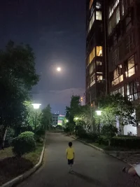 愿我們的每一天都充滿陽光，每一夜都充滿星辰。配圖