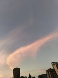 人生就像一盒巧克力，你永遠不知道下一顆是什么味道。配圖