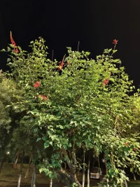人最舒服的活法：一半是争取，一半是随缘。与自己和解，与万事言和，尽力而为，随遇而安，用顺其自然的心态，活出舒适自在的人生。配图