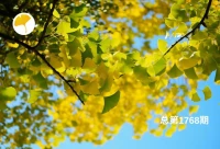 時(shí)光不會(huì)被辜負(fù)，勿忘初心，從今天起，努力去做一個(gè)可愛(ài)的人，不羨慕誰(shuí)，也不埋怨誰(shuí)，在自己的道路上，欣賞自己的風(fēng)景，遇見(jiàn)自己的幸福。配圖